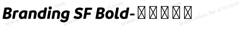 Branding SF Bold字体转换